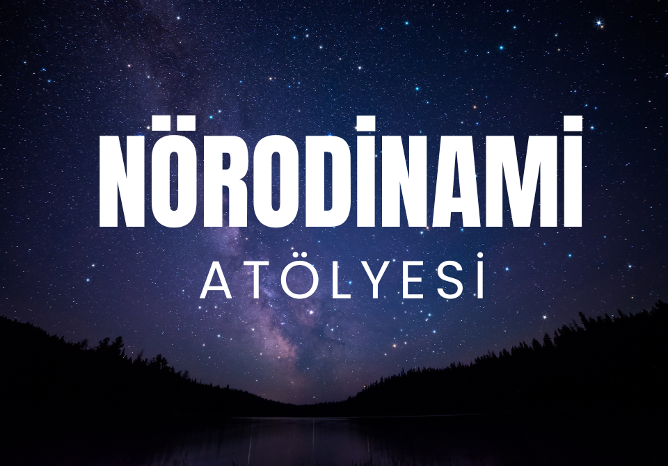 Nörodinami Atölyesi (Teorik)