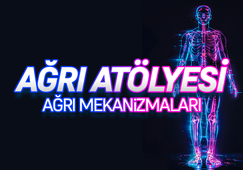 Ağrı Mekanizmaları 