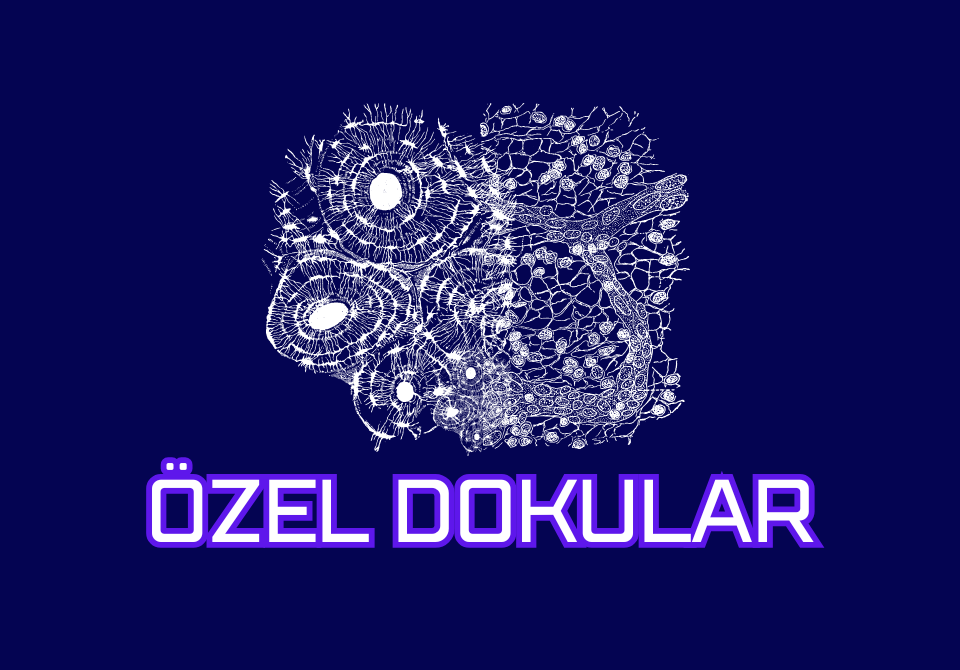Özel Dokularda Enpac Fizyoterapi Prensipleri