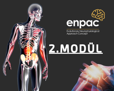 Enpac Konsept Modül - 2